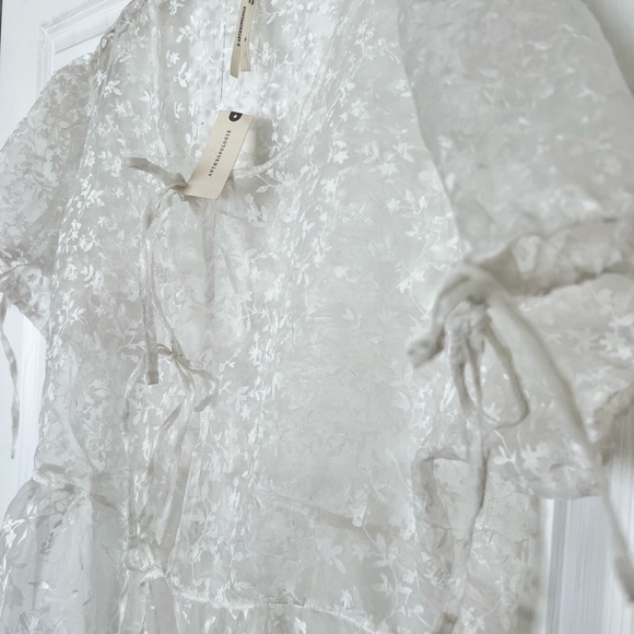 New Anthropologie Sheer ShortSleeve Organza Maxi Dress Festival Vibe Size XL NWT - Picture 6 of 9